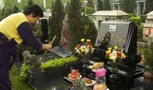 恐怖的清明扫墓