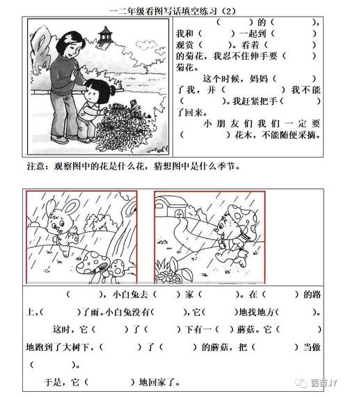 二年级不能摘花