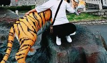 生活处处是风景