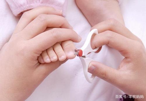 爸爸梳理了我。