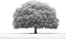 从第一颗纽扣开始