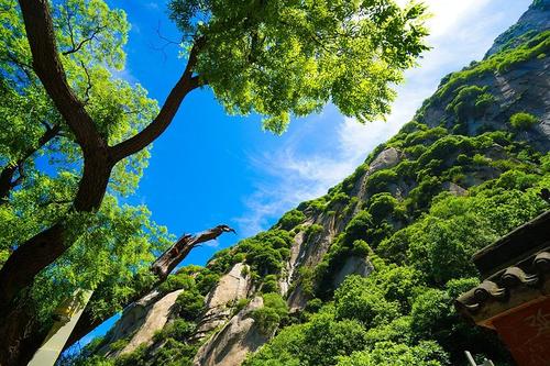 这里的风景很漂亮