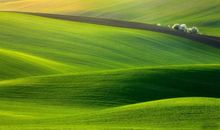 保护绿色，蔚蓝天空