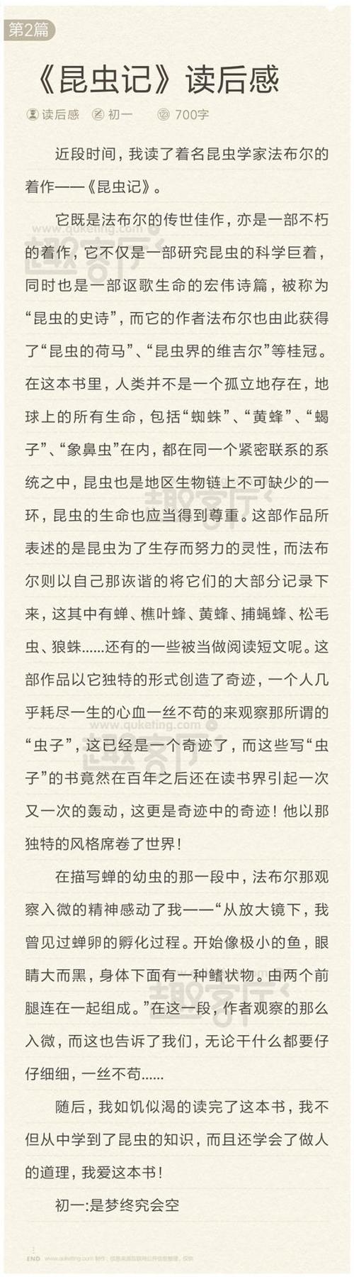 寻找我的爱的书