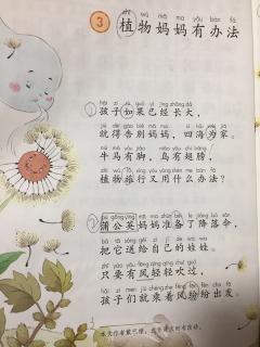植物和我一起成长