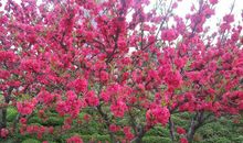 一次美丽的相遇