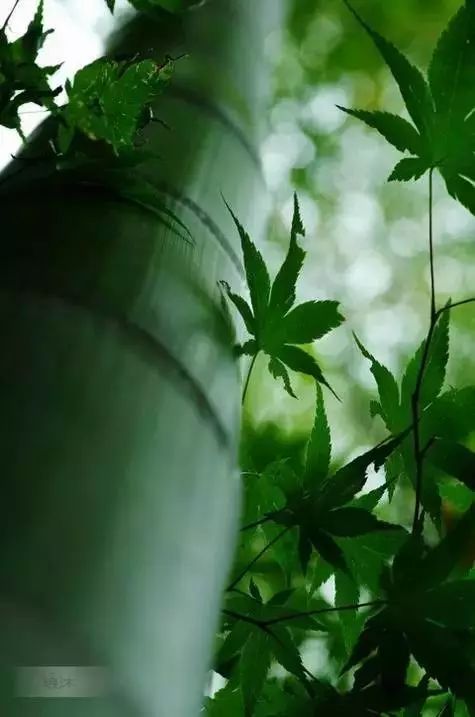 回到开始自己做