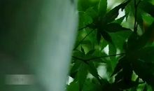 回过头来安心做自己