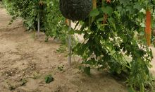 释然，油然而生