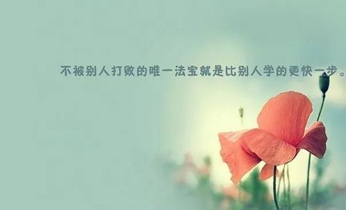 生活对情感很棒
