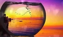 坚守是这般高尚