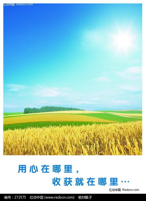 学习收获