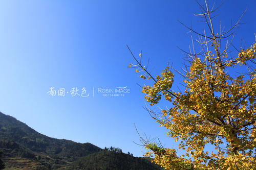 华南秋天