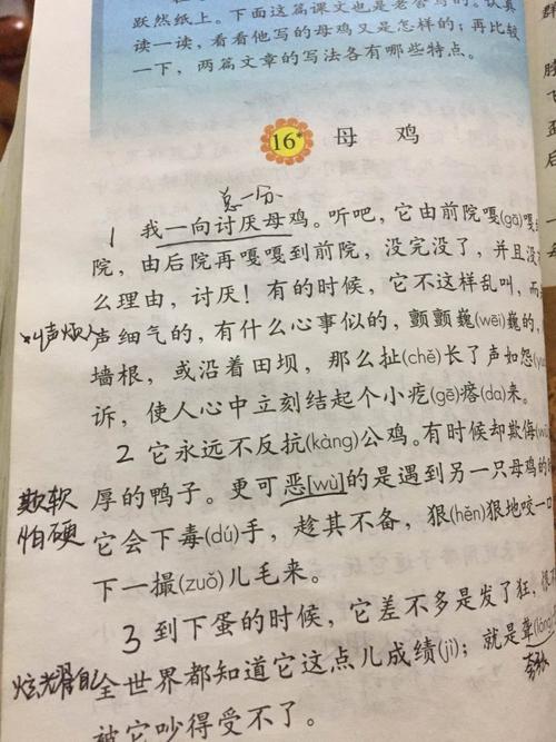 将飞母鸡组成
