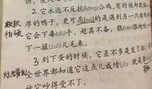 会飞的母鸡作文