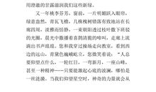 夜空中最闪亮的星作文