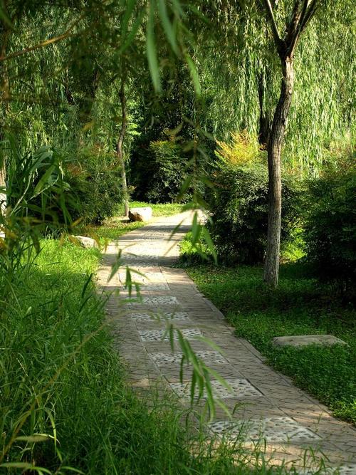 走在前往满月的道路上