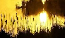 酣饮豪情油然而生