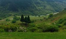 游仙女山大草原