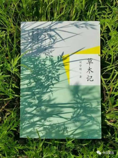 曹慕吉