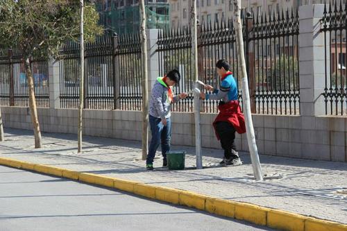 爱护树木，保护绿色