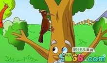 啄木鸟和大树看图写话