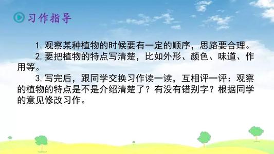 我和我的植物朋友