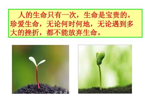 请珍惜珍贵的生活