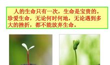 请珍惜宝贵的生命