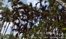 一起奔跑的日子