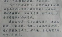 写作品梗概的作文