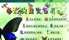 传承中华文化共创多彩世界