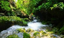 我爱自然的声音