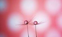 淡然也是一种幸福