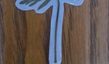 环保美丽的树叶书签