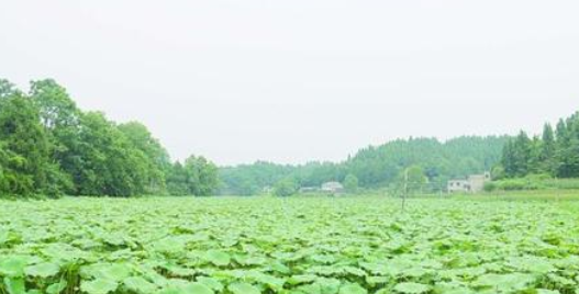 像艾伦这样的友谊