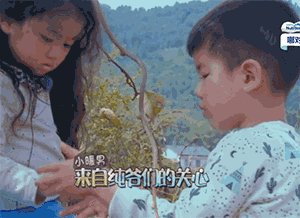 凝视的增长