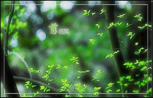 春风