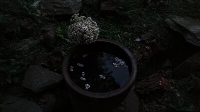 美丽，祖母的夏天