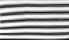 共享的“黑与白”