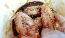 那是一次烹饪的尝试