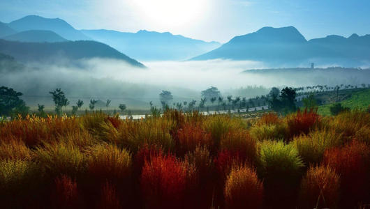 乡镇的无限风景