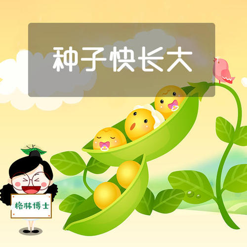 种子的谜团