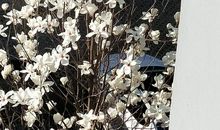 青春路上友谊如花