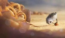 鹬动画片观后感500字