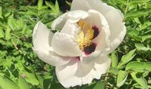 母爱，滋润了我的心田