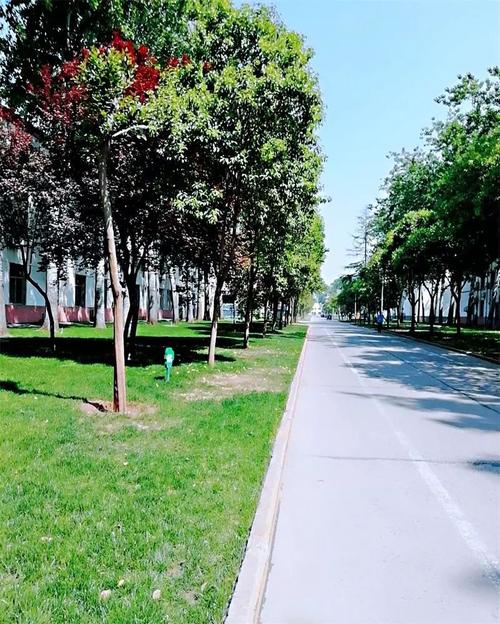 和“你”一起走