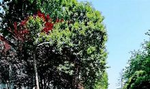 与“你”一起走过的日子