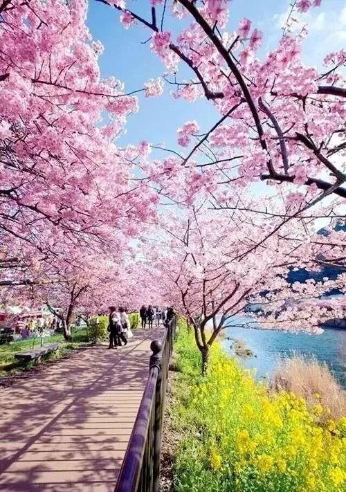 事实证明是在心里