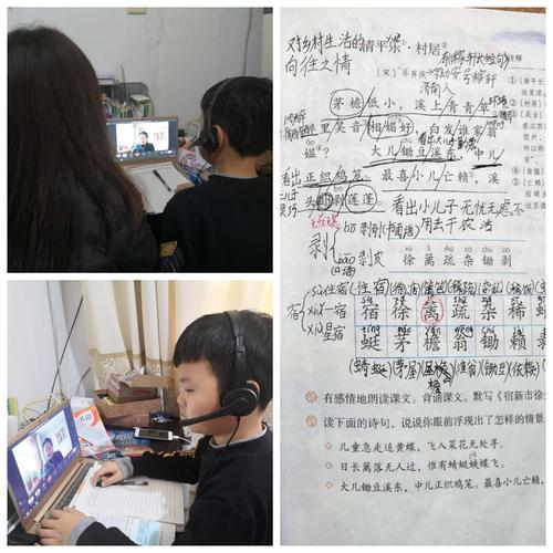 春天回到鹅